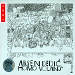 Homo volans